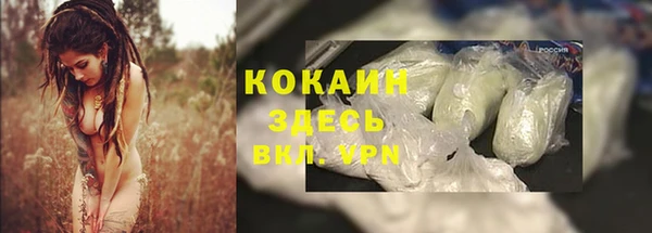 кокс Аркадак